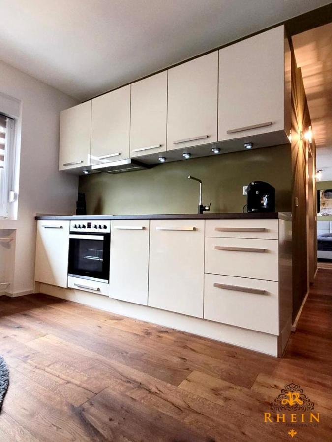 Top Modernes Rhein Apartment Vallendar Mit Balkon Zewnętrze zdjęcie